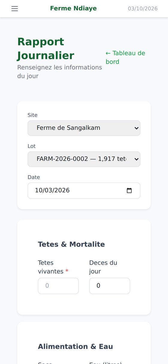 Rapport du jour
